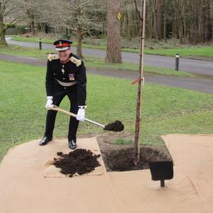 Tree planted in memory of Holy Cross Hospital stalwart